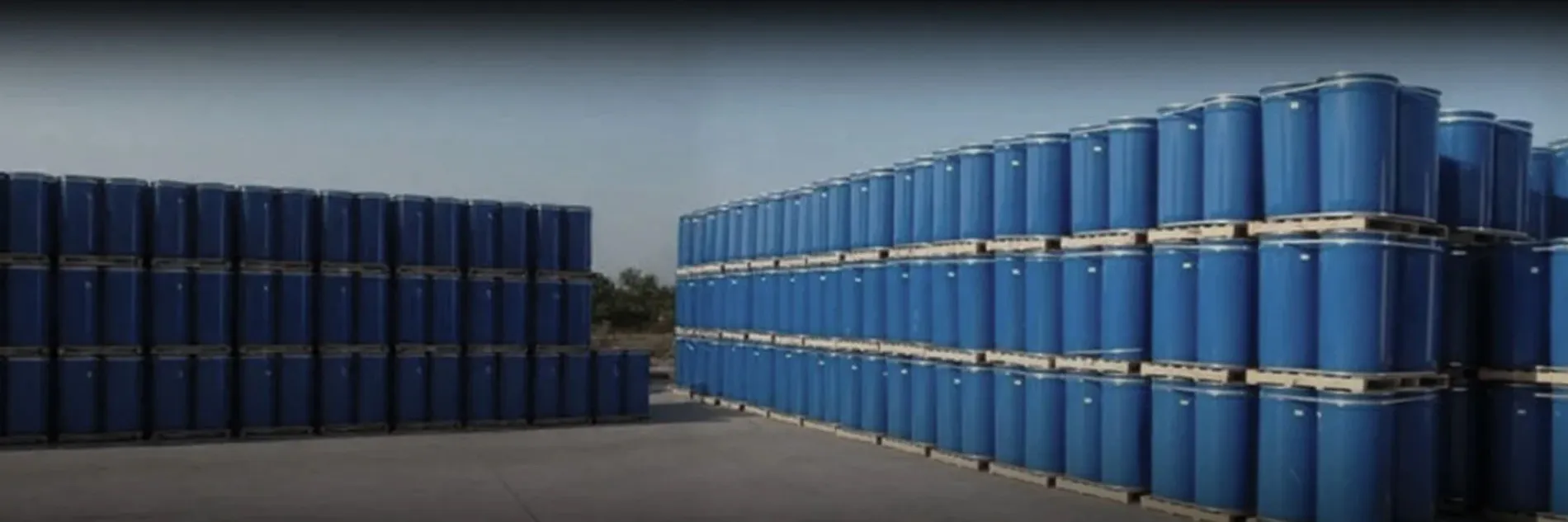 Aseptic Tomato Paste