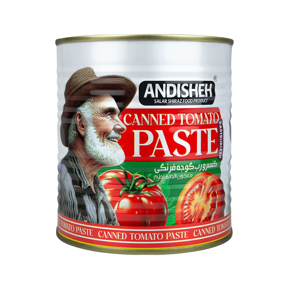 Premium 800g Canned Tomato Paste | Andishe Standard Export Quality